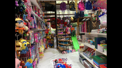 Imagen 9 de 21 de Venta Fondo De Comercio Juguetería/ Librería (local A Nuevo) En El Centro, Villa La Angostura