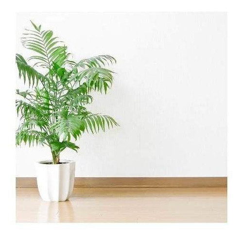 Albalatex Satinado Blanco 10lt Latex Int - 18 Cuotas S/int