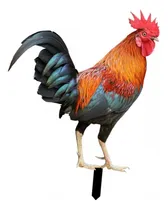 Comprar - Gallo Animal Estatua Estacas De Jardín Adorno Estatuas De