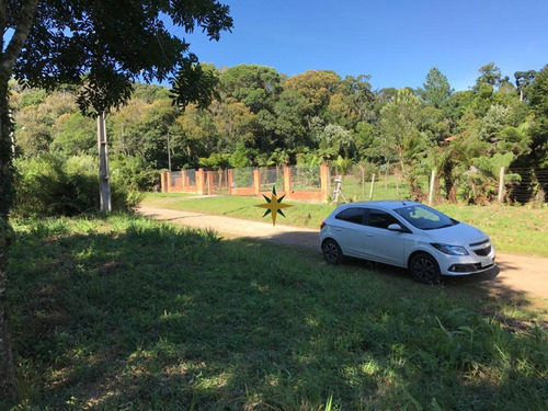 Imagem 3 de 5 de Terreno - 969
