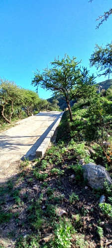 Venta Terrenos (varias Opciones) En Potrero De Los Funes La Curuxa