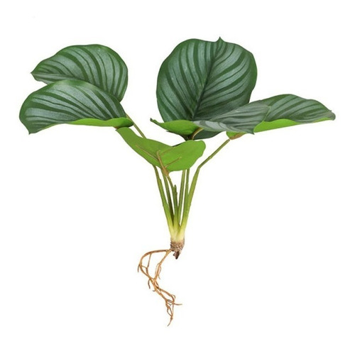 Planta Hoja De Tortuga Artificial Con Raíz, En Tacto Natural