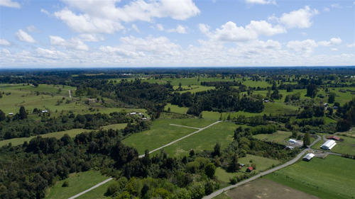 Parcelas En Frutillar, Bosque Y Praderas. Financiamiento