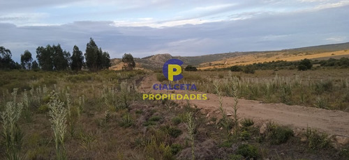 Imagen 6 de 12 de 5 Hectáreas, Entrega 8.000 Y El Saldo En Cuotas De 593 U$s