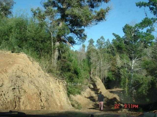 Imagen 6 de 21 de Camino Nonguen S / N , Sector Reserva De Nonguen Concepc...