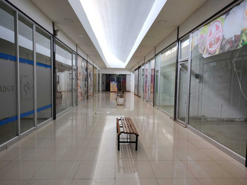 Arriendo Centro Comercial Completo (66167)