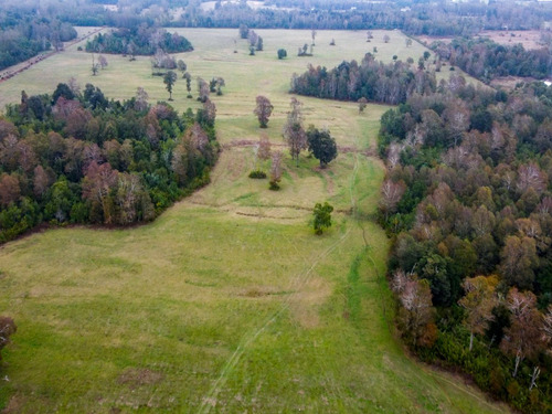 Imagen 4 de 13 de Campo Subdividido De 49,2ha - Villarrica