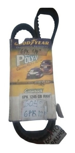 Correa Unica Ford 302/305 6pk1245