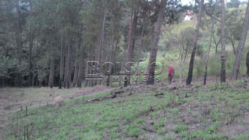 Imagem 2 de 4 de Terreno - Rosario - Ref: 20514 - V-20514