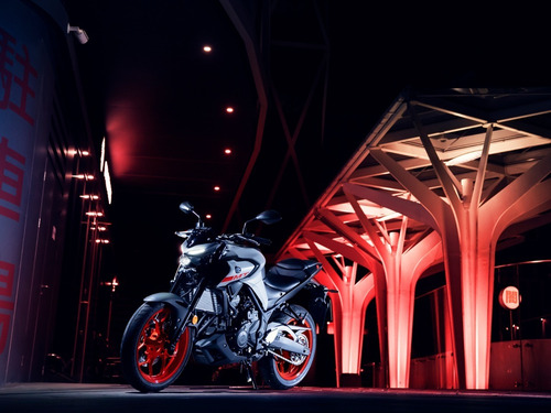Yamaha Mt 03 / Nuevo Modelo