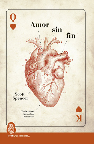 Amor Sin Fin, De Spencer, Scott. Editorial Muñeca Infinita En Español