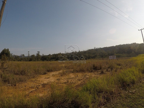 Imagem 6 de 6 de Terreno - Rio Maina - Ref: 22675 - V-22675