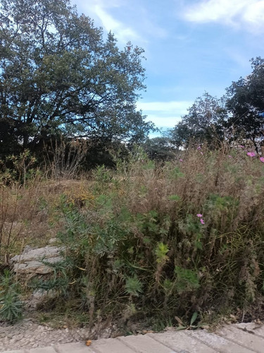 Venta Terreno En Rancho Blanco