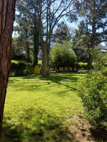 Apartamento En Barrio Cantegril Cerca De Colegios Y Universidad. Consulte !!!!- Ref: 3122