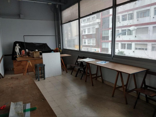 Imagen 8 de 25 de Local - Mar Del Plata
