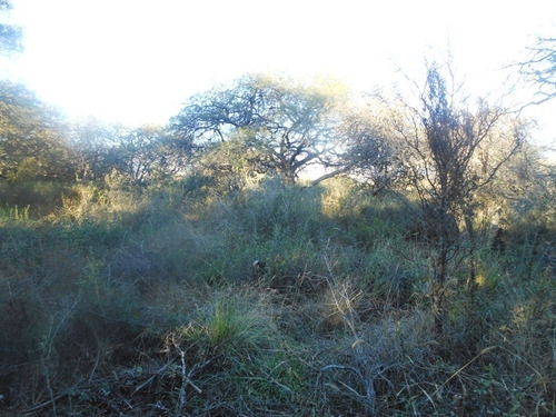 Imagen 2 de 10 de Chacra Terreno Con Bosque Nativo De 1.8 Has Cura Brochero