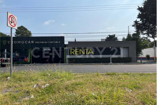 Renta Local Comercial Zona Plaza San Diego, San Pedro Cholula, Puebla