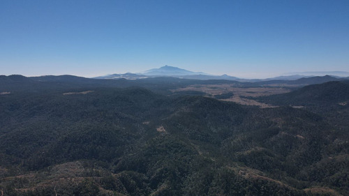 Terreno En Venta De Uso Rústico En Tapalpa