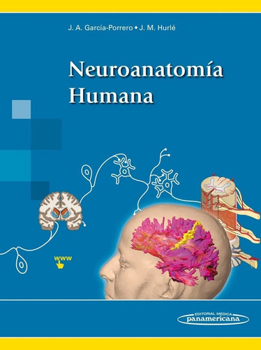 Neuroanatomia Humana, de GARCIA-PORRERO PEREZ, JUAN ANTONIO. Editorial Panamericana en español