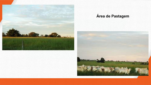 Imagem 24 de 30 de Fazenda 2444 Alqueires, Boa De Água Com Represas E Rio, Fábrica De Ração, 29 Pivôs, Área De Pastagem, Colônia, Casa Sede 600m2, Galpões,pista De Pouso - Fa00102 - 70229637
