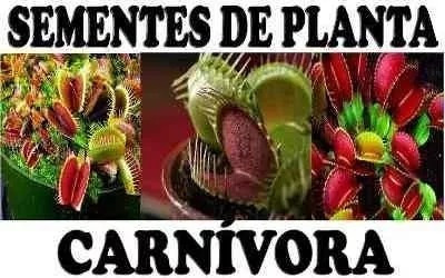 Kit 210 Sementes Plantas Carnívoras Variadas Frete Grátis!!