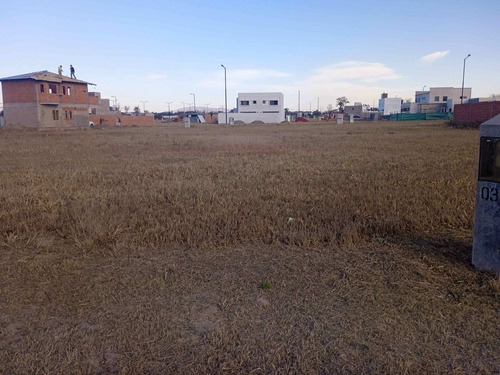 Imagen 7 de 12 de Terreno Venta Via Aurelia Ruta Nacional 51 300 M2