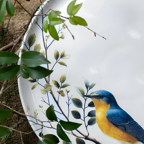 Jogo C/ 6 Pratos Raso Bio Birdy Porto Brasil