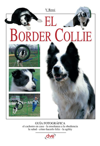 Libro: El Border Collie (spanish Edition)