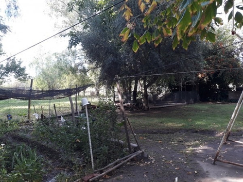 Imagen 2 de 12 de Vendo Casa 4 Dormitorios En Calle El Pino Amplio Terreno