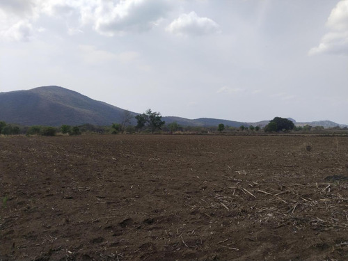 Vendo Terreno Ideal Para Siembra, Invernadero, Rancho Etcétera!
