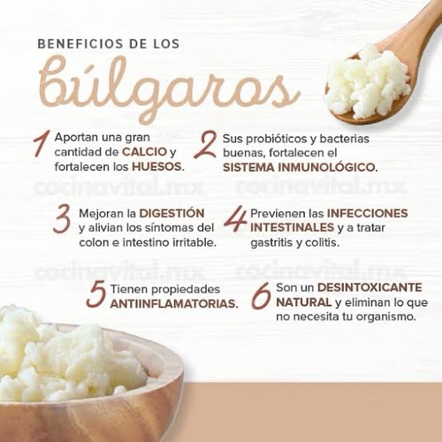 Búlgaros De Leche Kefir 100 Gramos