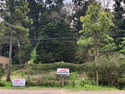 Imagen 8 de 10 de Terreno - Los Cardales