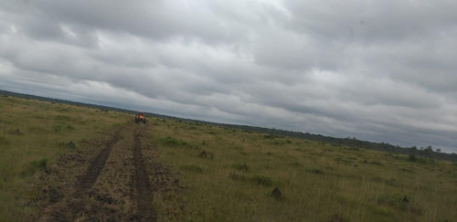 Imagem 13 de 13 de Fazenda 10600 Hectares, Acesso Asfaltado, Rica Em Água Com Lago, Planta 6000 Hectares, Topografia Plana, Casas Sede E Caseiro, Curral, Barracão - Fa00252 - 70762252