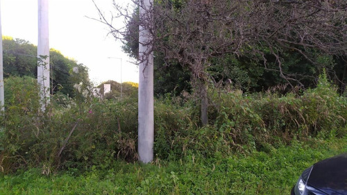 Imagen 2 de 10 de Terreno - Villa Catalina