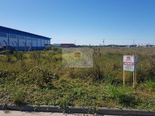 Imagem 5 de 9 de Área Industrial No Volta Redonda Com 0 Quartos Para Locação, 4158 M² - Ft1398
