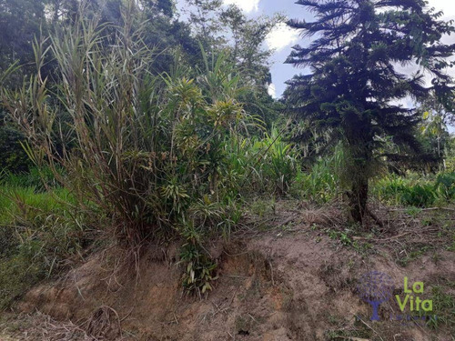 Imagem 5 de 7 de Terreno À Venda, 8500 M² Por R$ 350.000,00 - Passo Manso - Blumenau/sc - Te0208