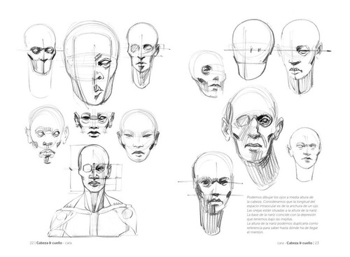 Anatomía Artística 2 Cómo Dibujar El Cuerpo Humano | Cuotas sin interés