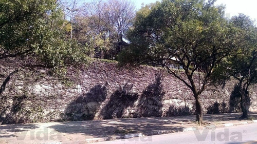 Imagem 3 de 3 de Terreno Para Aluguel, 1000.0m² - 30761