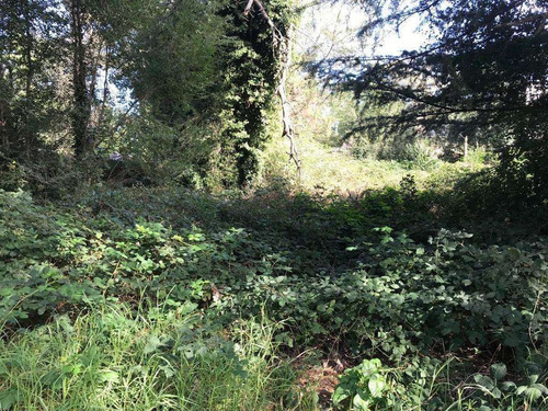 Imagen 8 de 12 de Venta Lote 800 Mts Sierra De Los Padres - Sobre Asfalto En Inmejorable Entorno