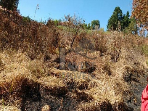 Imagem 4 de 5 de Cód 1338 - Lindo Terreno Com 1.668 M² Com Vista E Desmatado. - 1338