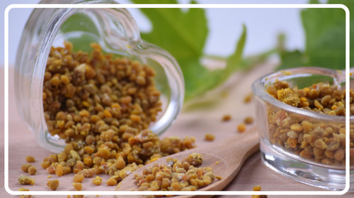 Barra Pólen Apícola, Suplemento 100% Natural Artesanal 12 Un