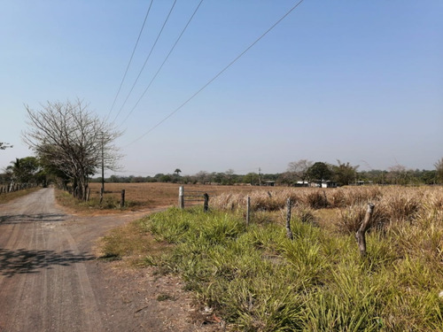 Hectáreas En Venta Veracruz Localidad El Pando, Veracruz.