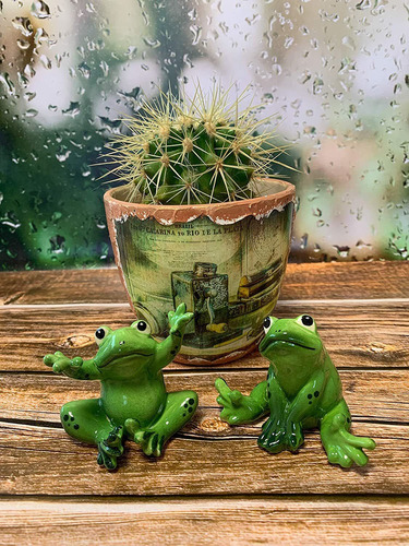 Magik Life Frog Ceramic Figurine- Frog Garden Décor- Frog Ya