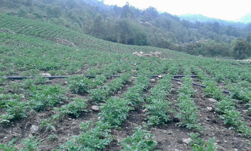 Bella Finca En El Valle