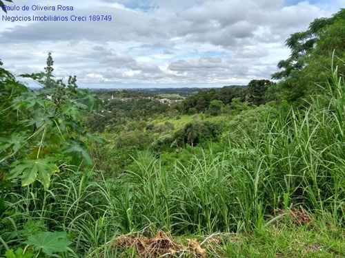 Imagem 5 de 22 de Terreno - Te00049 - 69287773