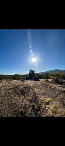 Se Vende Parcela De 5200 Mts2, Camino A Huencuecho,