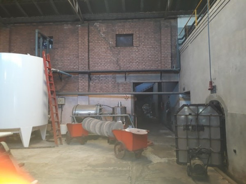 Vendo Bodega Con Viñedos Y Elaboración Propia
