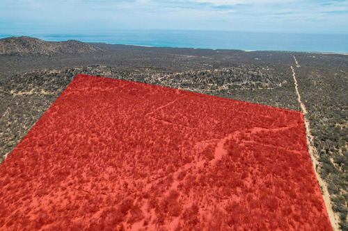 East Cape Road, Colina Perfecta