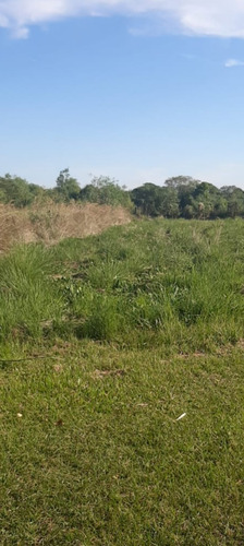 Vendo Terrenos En Colonia Benitez