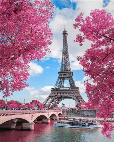 Nnngtaocer Torre Eiffel Junto Al Río Rompecabezas De 500 Pie